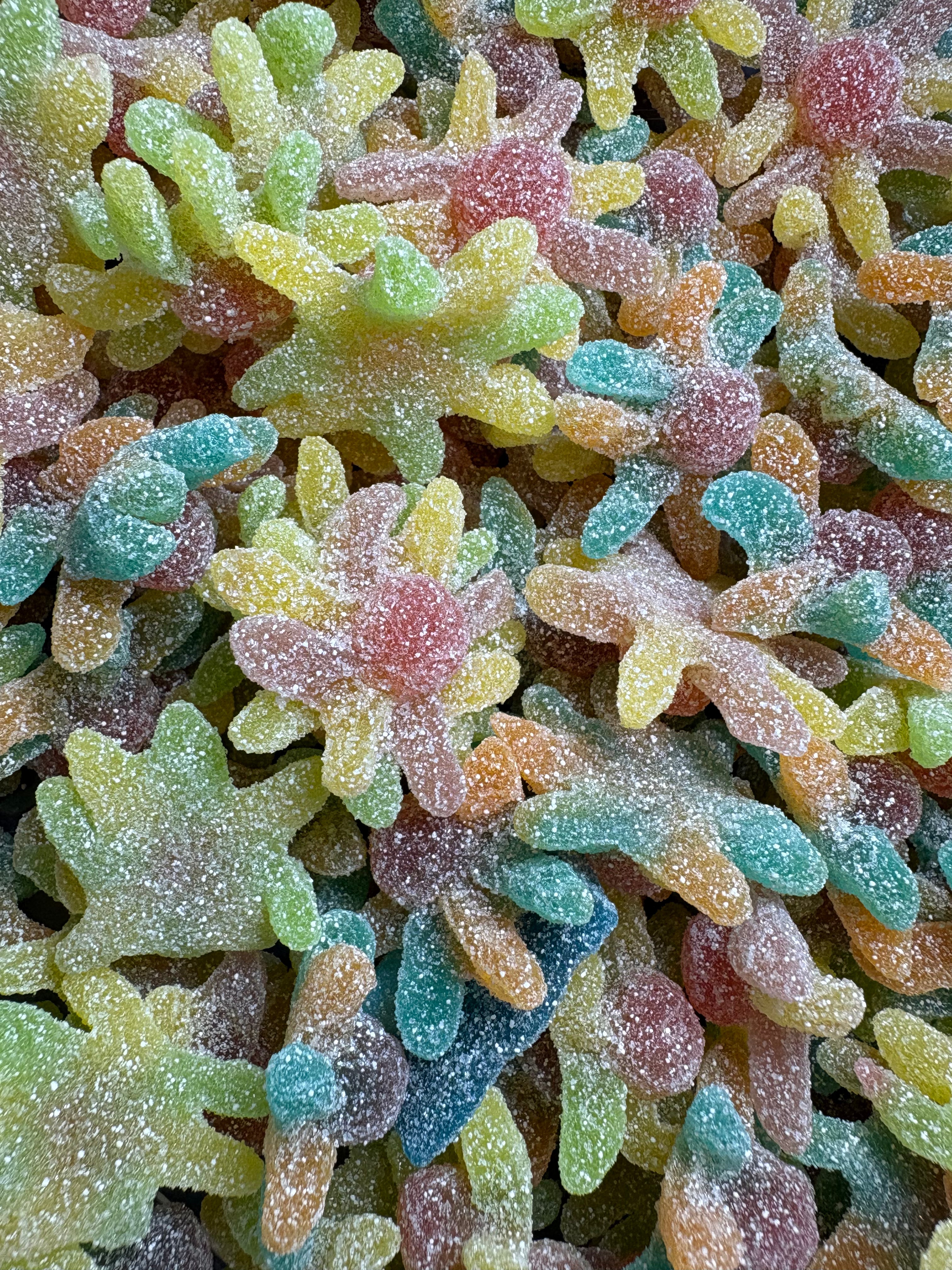 pieuvre acidulée